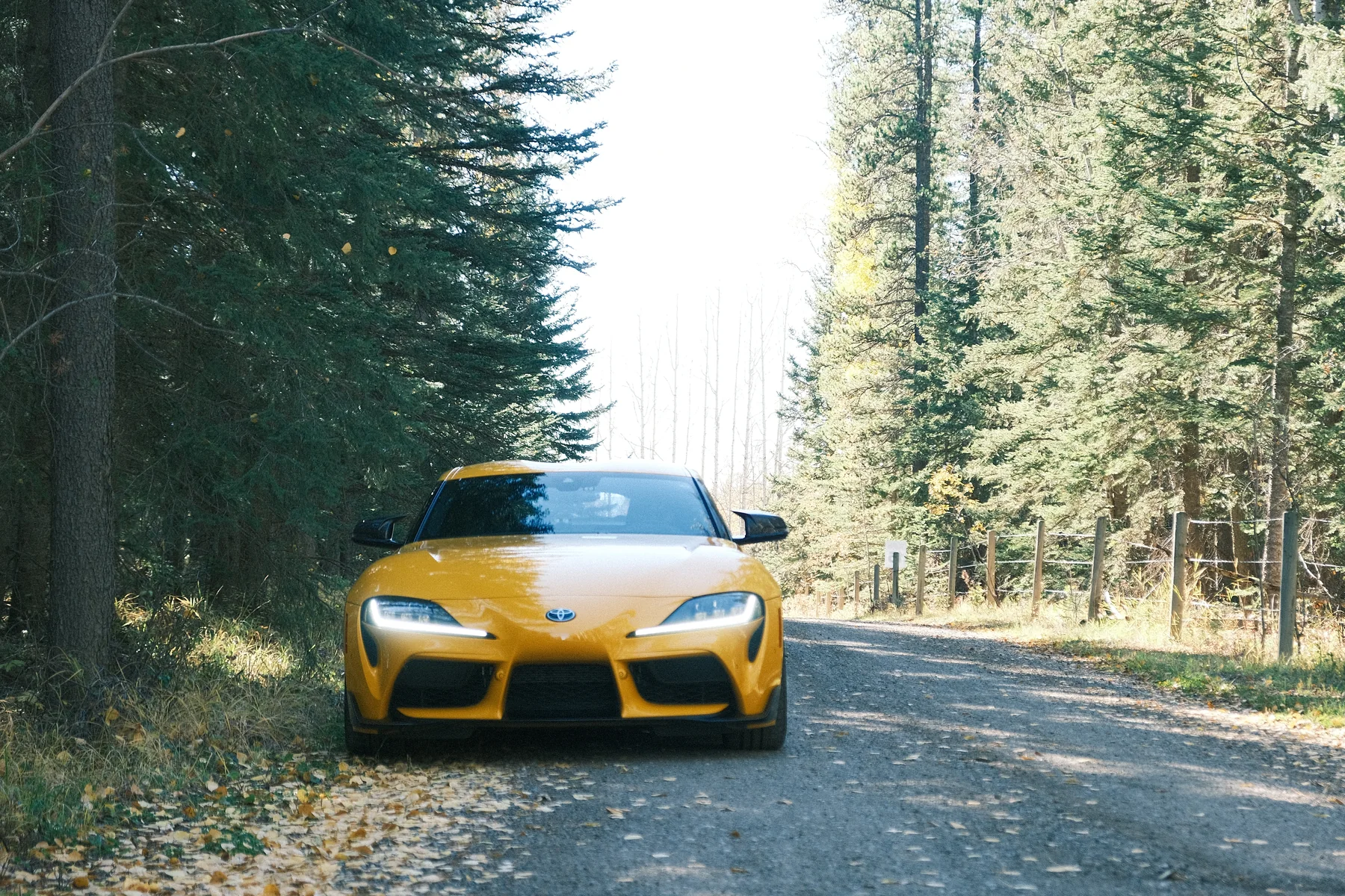 A yellow Supra ready for the road after detailing